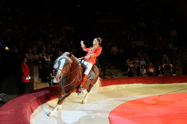 Женщина Акробатка Верхом Хорошо Подготовленной Лошади Выступает Ринге Национального Цирка — стоковое фото