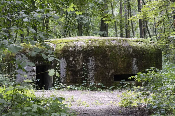 旧第二次世界大戦の時から森の中に建てられた枕箱 — ストック写真