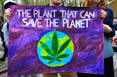 Geniş tabaka tutan gençler tıbbi marihuananın yasallaştırılmasını talep ediyorlar. Esrar Mart.