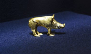 İskitli altın yaban domuzu, taklit. 21 Aralık 2016 Kyiv Ukrayna