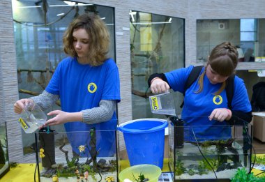 School lesson of aquarium husbandry. Girls pupils arranging decorations in an empty aquarium. February 4, 2019. Kiev, Ukraine clipart