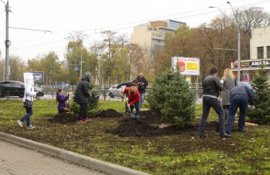 Şehir yeşilliği. İnsanlar şehir parkında kürek kullanarak çalı çırpı eken çevreciler. 20 Ekim 2021. Kyiv, Ukrayna