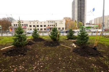 Kyiv Politeknik Enstitüsü parkında yeşillendikten sonra ağaç diktim. 20 Ekim 2021. Kyiv, Ukrayna