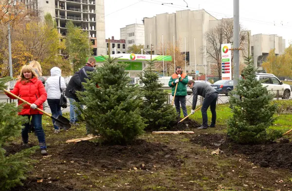 stock image Urban greenery. People green activists planting spruces using shovels in a city park. October 20, 2021. Kyiv, Ukraine