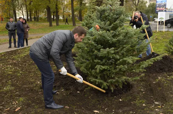 stock image Urban greenery. People green activists planting spruces using shovels in a city park. October 20, 2021. Kyiv, Ukraine