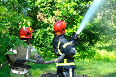 Firemen in protective ensembles fighting fire in forest. June 5, 2019. Forestry of Sviatoshyn district, Kievskaya oblast, Ukraine clipart