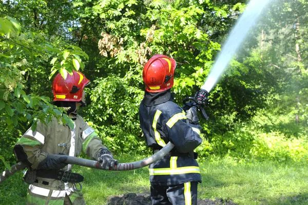 Koruyucu giysiler içindeki itfaiyeciler ormanda yangınla savaşıyor. 5 Haziran 2019. Sviatoshyn İlçesi Ormanı, Kievskaya oblast, Ukrayna