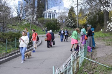 İnsanlar şehir parkında dolanıyor, beyaz manolyalar arka planda çiçek açıyor. 20 Mart 2019. Kiev, Ukrayna