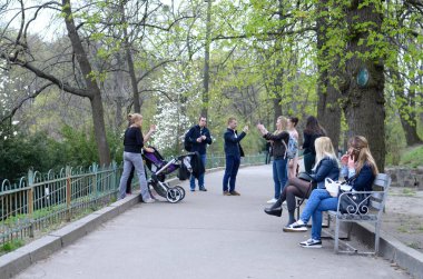 İnsanlar banklarda oturur ve şehir parkında yürürler ılık bahar güneşi altında dinlenirler. 20 Mart 2019. Kiev, Ukrayna