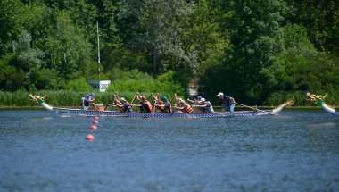 Oarsmen rowing a dragon boat on a river, crossing finish line. Kiev oblast championship among amateurs. May 25, 2020. Kiev, Ukraine clipart