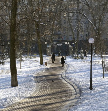 Kar şehrinin kış manzarasında kaldırım kenarı ağaçları. Mariinsky Parkı. Kyiv, Ukrayna.