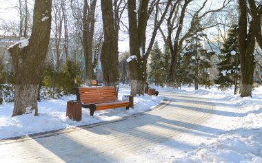 Kar şehrinin kış manzarasında kaldırım kenarı ağaçları. Mariinsky Parkı. Kyiv, Ukrayna.