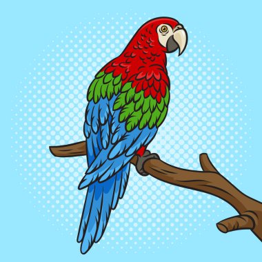 Ağaç dalında papağan populer sanat retro vektör illüstrasyonu. Çizgi roman tarzı taklit.