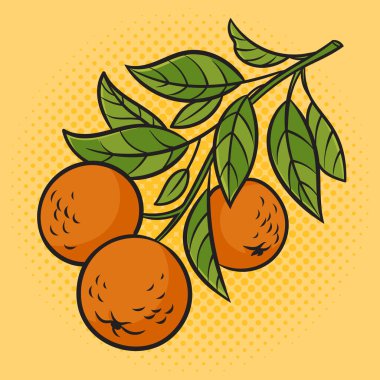 branch with tangerines pinup pop art retro vector illustration. Comic book style imitation.