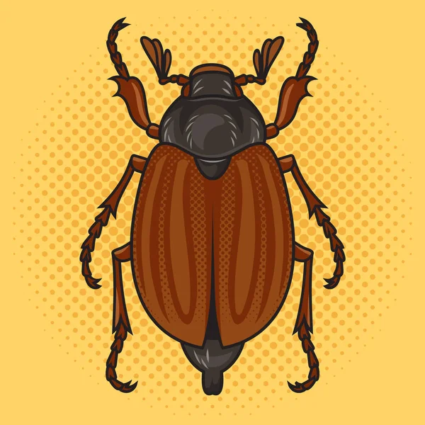 Chafer May Bug Melolontha Pop Art Retro Raster Illustration Comic — Stok fotoğraf