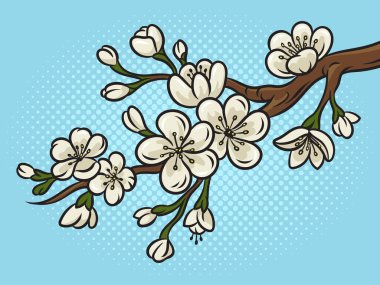 Kiraz çiçeği pop sanat retro vektör illüstrasyonu. Çizgi roman tarzı taklit.