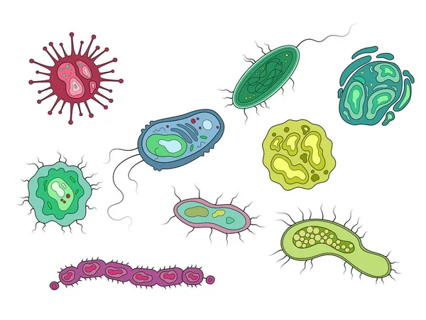 박테리아 미생물들 삽화를 그리는 것이다 — 스톡 벡터