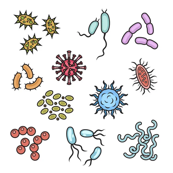 Ilustrasi Vektor Skematik Bakteri Dan Mikroorganisme Ilustrasi Pendidikan Ilmu Kedokteran - Stok Vektor