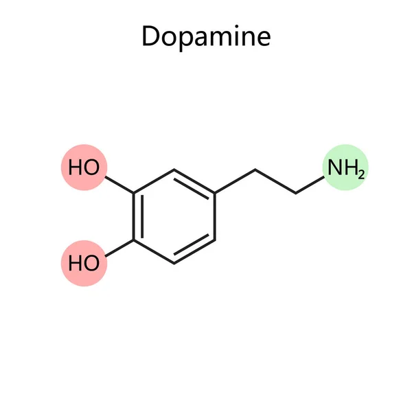 Dopamin Diyagramının Kimyasal Organik Formülü Şematik Vektör Çizimi Tıp Bilimi — Stok Vektör