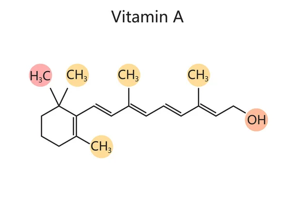 Chemiczna Organiczna Formuła Schematu Witaminy Ilustracja Wektora Medycyna Nauka Edukacyjna — Wektor stockowy