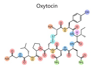 Oksitosin diyagramının kimyasal organik formülü şematik vektör çizimi. Tıp bilimi eğitimsel illüstrasyon