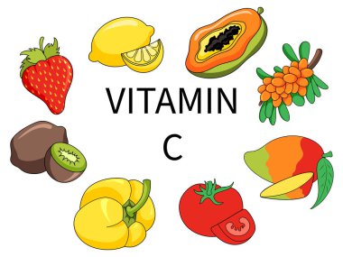 Meyveler ve sebze gıdaları C vitamini şematik vektör çizimi içerir. Tıp bilimi eğitimsel illüstrasyon