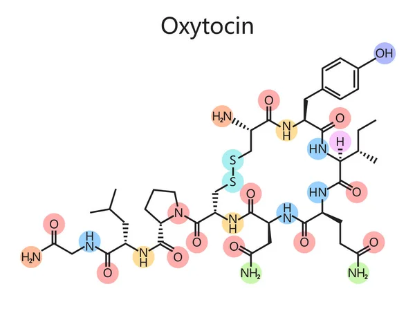 Oksitosin Diyagramının Kimyasal Organik Formülü Şematik Vektör Çizimi Tıp Bilimi — Stok Vektör
