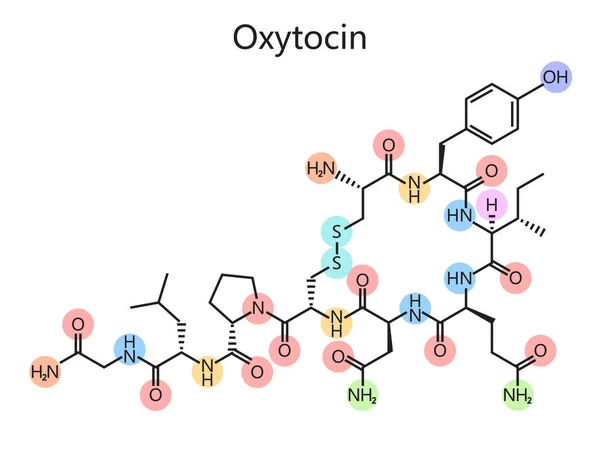 Χημικός Οργανικός Τύπος Σχηματικής Απεικόνισης Διαγραμμάτων Ωκυτοκίνης Ιατρική Επιστήμη Εκπαιδευτική — Φωτογραφία Αρχείου
