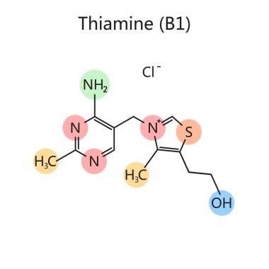 Tiamin vitamini B1 diyagramının kimyasal organik formülü. Tıp bilimi eğitimsel illüstrasyon