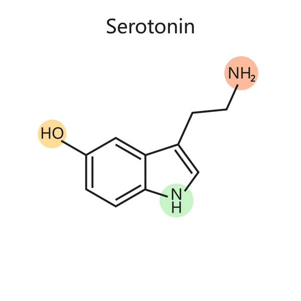 Serotonin Diyagramının Kimyasal Organik Formülü Şematik Vektör Çizimi Tıp Bilimi — Stok Vektör