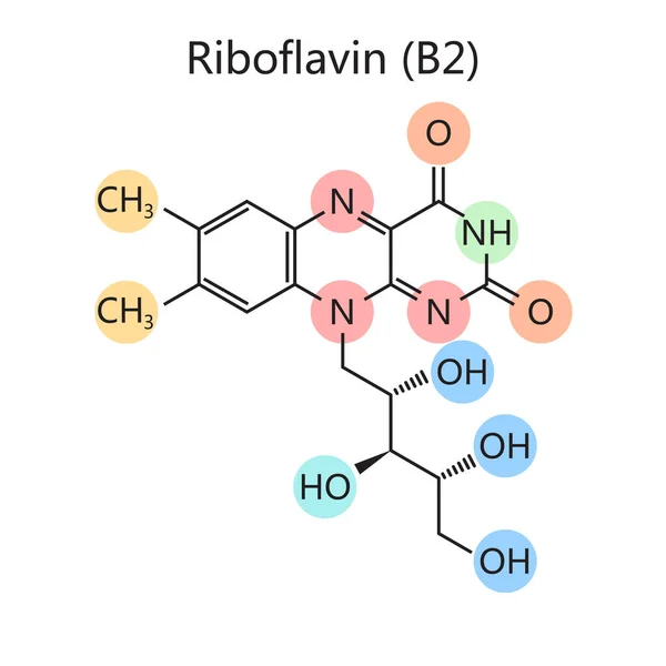 Riboflavin Vitamin Diyagram Şematik Çiziminin Kimyasal Organik Formülü Tıp Bilimi — Stok Vektör