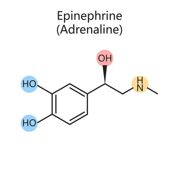 Epinefrin Adrenalin Diyagramının Kimyasal Organik Formülü Şematik Vektör Çizimi Tıp — Stok Vektör