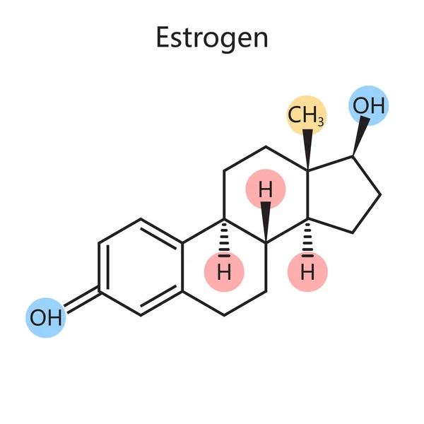 Östrojen Dişi Seks Hormonu Diyagramının Kimyasal Organik Formülü Şematik Vektör — Stok Vektör