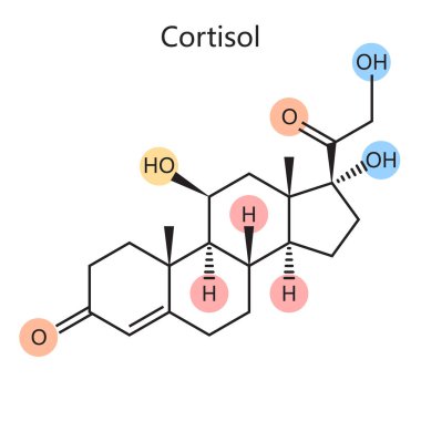 Kortizol steroid hormon diyagramının kimyasal organik formülü şematik raster çizimi. Tıp bilimi eğitimsel illüstrasyon