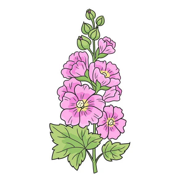 Common Hollyhock Alcea Rosea Medicinal Plant Diagram Schematic Vector Illustration — Stock Vector