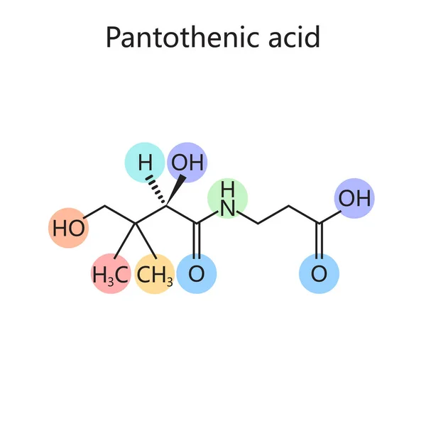 Pantothenic Acid Kimyasal Organik Formülü Vitamini Şematik Vektör Çizimi Tıp — Stok Vektör