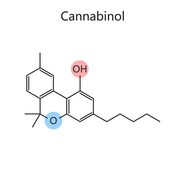 Chemische Organische Formule Van Cannabinol Diagram Schematische Raster Illustratie Educatieve — Stockfoto