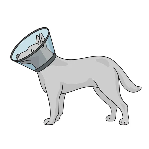 Elizabethan Collar Pet Cone Treat Funnel Dog Diagram Schematic Raster — Stock Photo, Image