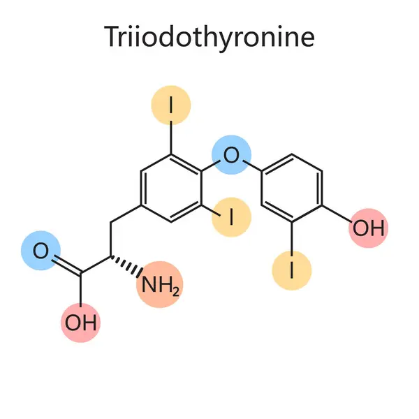 Triyodotironin Tiroid Hormonu Diyagram Şematik Çiziminin Kimyasal Organik Formülü Tıp — Stok Vektör