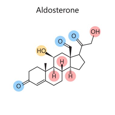Aldosteron diyagramının kimyasal organik formülü şematik vektör çizimi. Tıp bilimi eğitimsel illüstrasyon