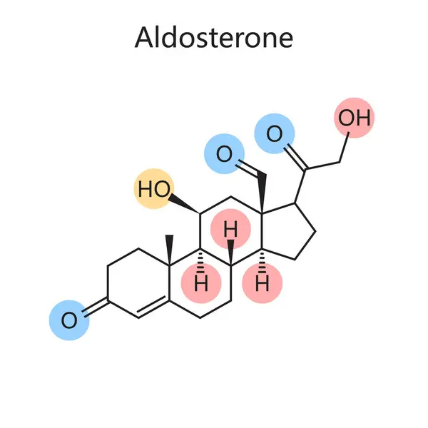 Χημικός Οργανικός Τύπος Του Διαγράμματος Αλδοστερόνης Σχηματική Απεικόνιση Ράστερ Ιατρική — Φωτογραφία Αρχείου