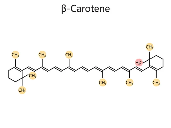 Fórmula Química Orgánica Del Diagrama Betacaroteno Ilustración Vectorial Esquemática Ilustración — Vector de stock