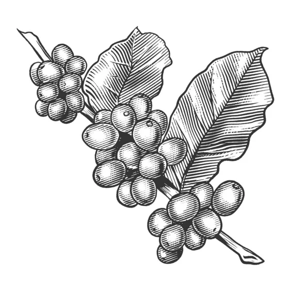 Yaprakları elle çizilmiş kahve dalıyla işlenmiş Raster çizimi. Tahta sitili taklit. Siyah beyaz el çizimi resim.