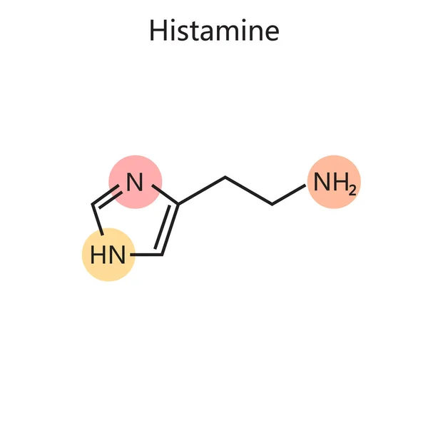 Χημικός Οργανικός Τύπος Του Διαγράμματος Ισταμίνης Χειροποίητα Σχεδιασμένες Σχηματική Απεικόνιση — Φωτογραφία Αρχείου