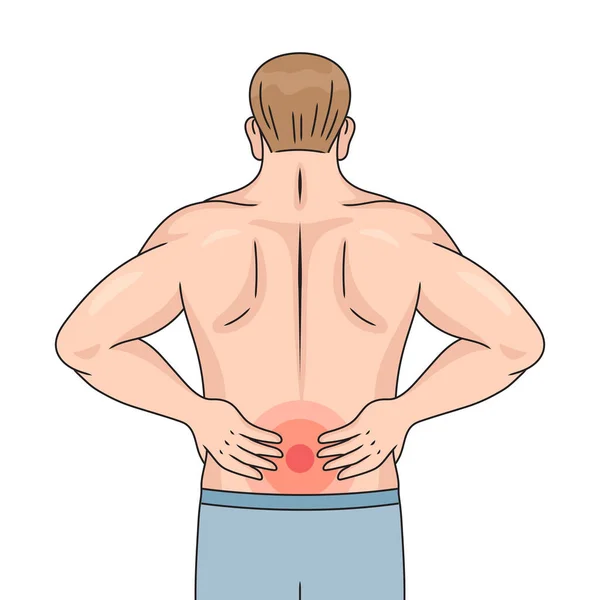 Low back pain in back of man diagram hand drawn schematic raster illustration. Medical science educational illustration
