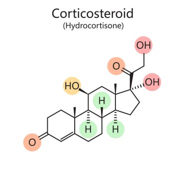 Hidrokortizon diyagramının moleküler yapısının kimyasal organik formülü el çizimi şematik vektör çizimi. Tıp bilimi eğitimsel illüstrasyon