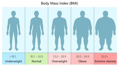 Aşırı obezite vücut kütle endeksi değerleri diyagramı el çizimi şematik vektör illüstrasyonuna göre farklı BMI kategorilerini göstermektedir. Tıp bilimi eğitimsel illüstrasyon