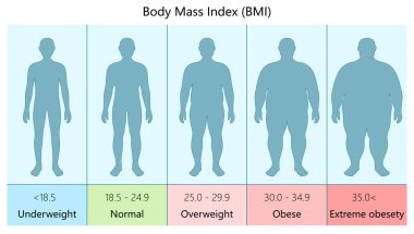 Aşırı obezite vücut kütle endeksi değerleri diyagramına göre farklı BMI kategorilerini gösteriyor. El yapımı şematik raster çizimi. Tıp bilimi eğitimsel illüstrasyon