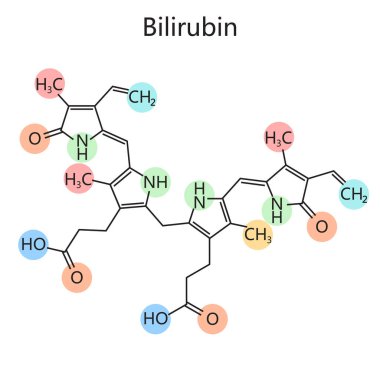 Bilirubin diyagramının kimyasal organik formülü el çizimi şematik vektör çizimi. Tıp bilimi eğitimsel illüstrasyon