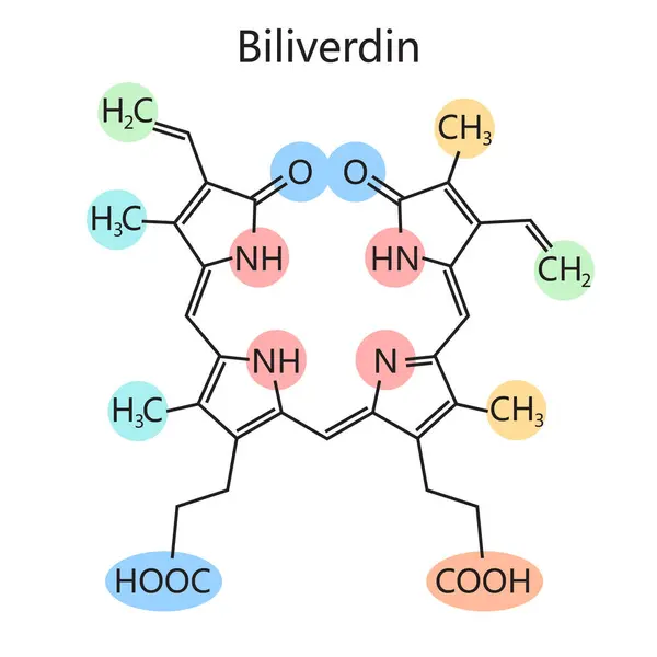 stock image Chemical molecular structure of hemoglobin, highlighting its chemical components organic formula of diagram hand drawn schematic raster illustration. Medical science educational illustration